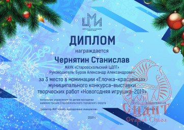 НОВОГОДНЯЯ ИГРУШКА-2019 7