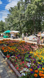 Мастера Центра приняли участие в праздновании Дня города Алексеевки! 2