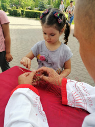 Белгородское лето в самом разгаре! 1