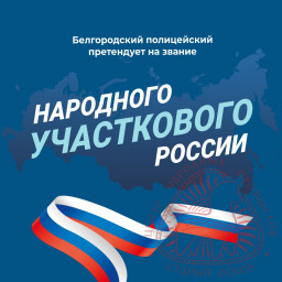 Народный участковый 0