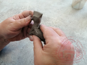 "Старооскольская глиняная игрушка" 1