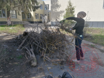 Субботник 1